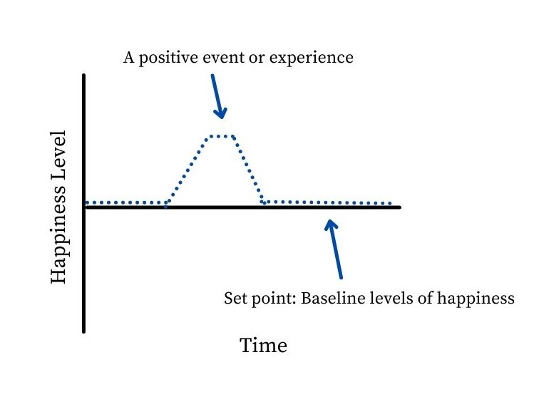 A happiness graph which had happiness level on the y-axis and time on the x-axis. The graph shows a flat dotted line except when there is a positive experience, there is a spike in happiness. The line moves back down after some time as one attains the baseline level of happiness. 