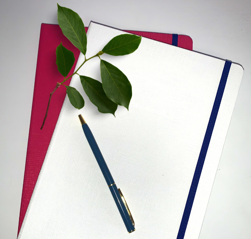 Two journals stacked on top of one another (hot pink at bottom and white on top) with a pen and green leaf on top. 
